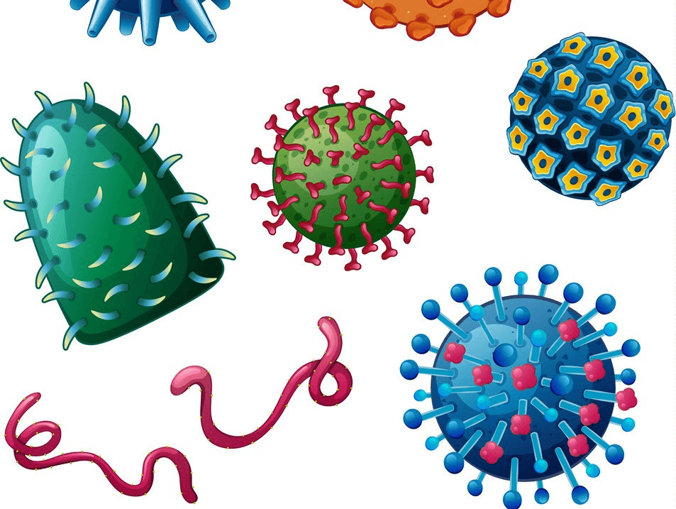 Virusurile vechi de un milion de ani ajută la combaterea cancerului. Unde se „ascund” acestea