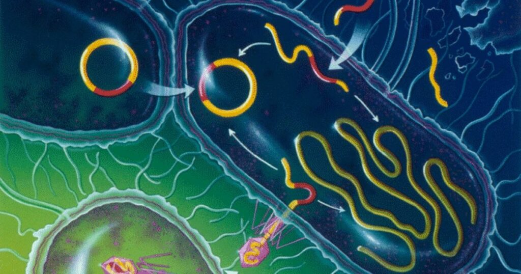 Proteina din sistemul imunitar care ar putea combate intoxicațiile alimentare, dar și afecțiuni letale