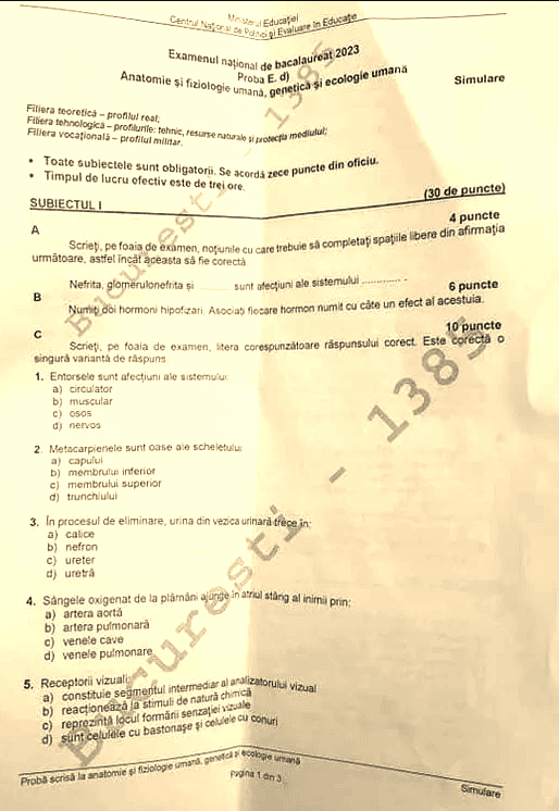 Subiectele și baremul de la Anatomie, simulare BAC 2023