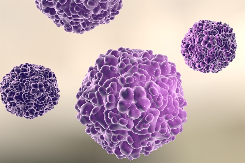 Bolile infecțioase cu care vine vara „la pachet”. Cum spun medicii că ne putem feri de ele