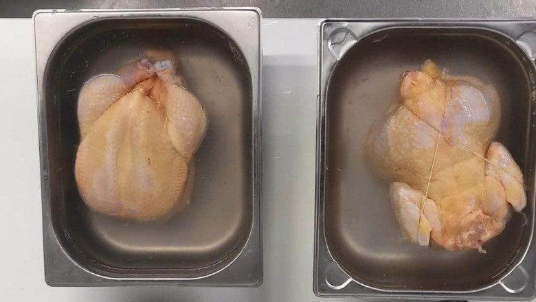 Un nou scandal alimentar zguduie piața cărnii din România. Puiul vopsit încaieră autoritățile