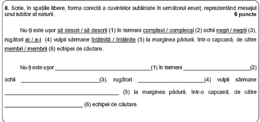 Semnalul unui profesor de Limba română, după corectarea lucrărilor de la Evaluarea Națională: „Au o problemă foarte gravă”