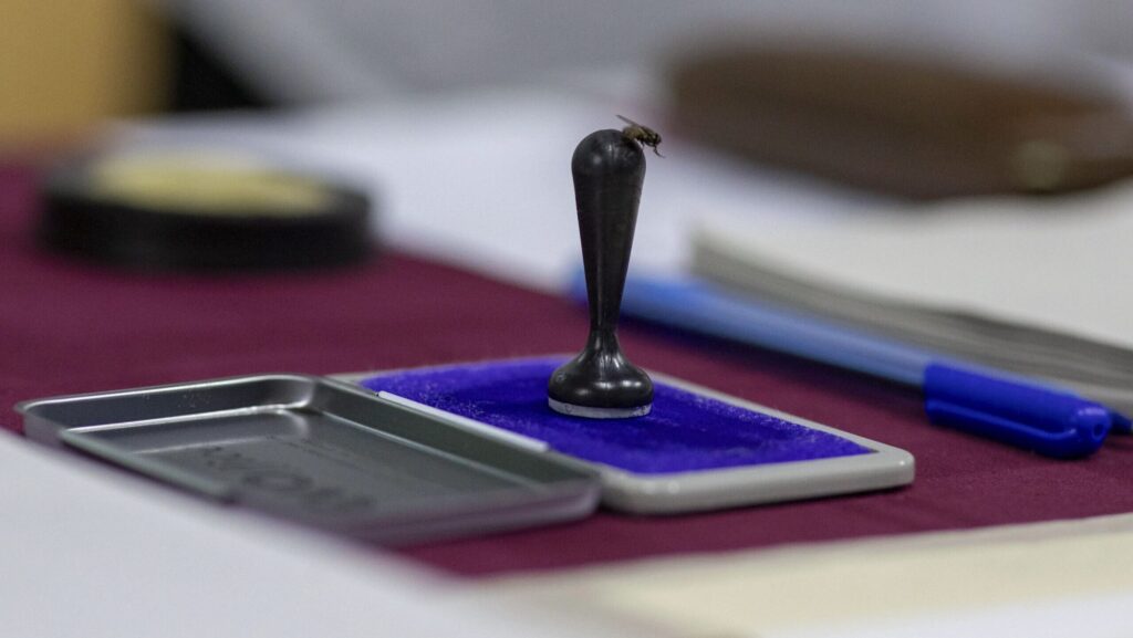 Cum poți deveni observator electoral la alegerile prezidențiale și parlamentare. Coaliția VotCorect lansează campania de înscrieri