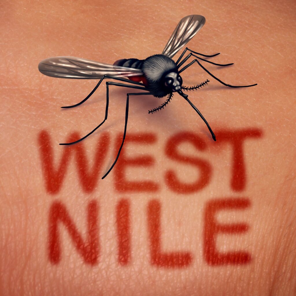 Numărul cazurilor de infecție cu virusul West Nile, în continuă creștere. Vârful transmiterii, în august-septembrie