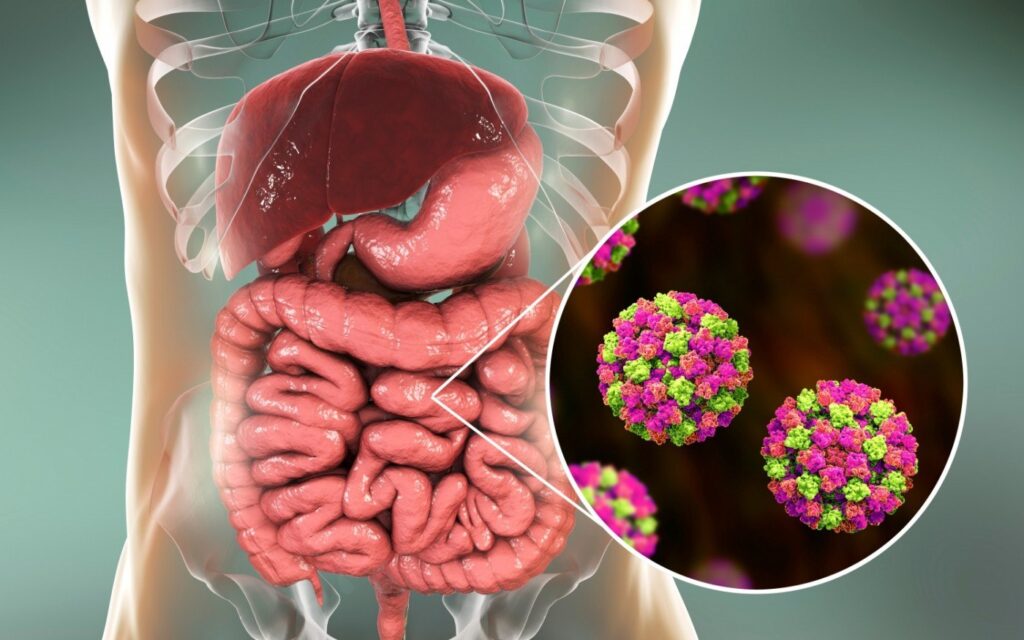 Cum să te protejezi de norovirus. Ghidul complet de igienă și prevenire