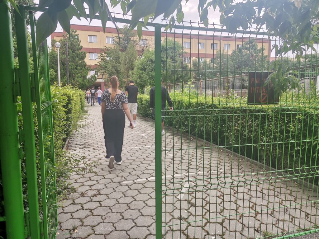 Subiecte Bac 2025. Cum li s-au părut candidaților cerințele de la proba la alegere