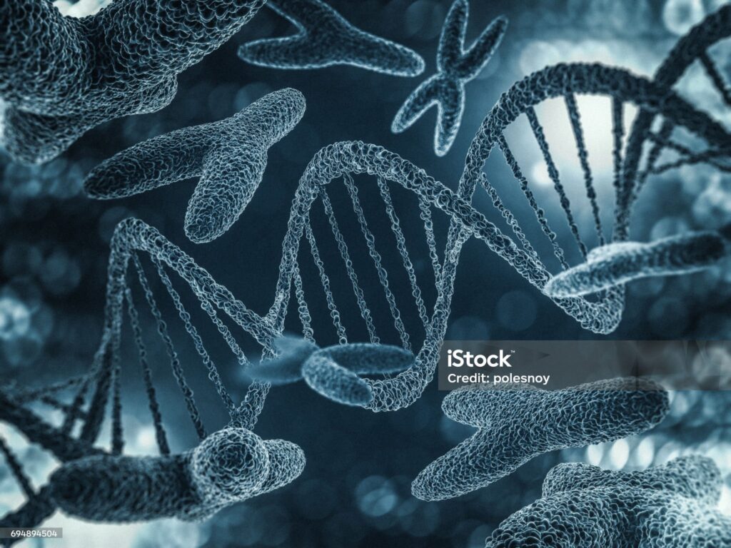 Cromozomul Y, care determină sexul bărbaților, ar putea dispărea. Este în proces de degenerare, avertizează specialiștii